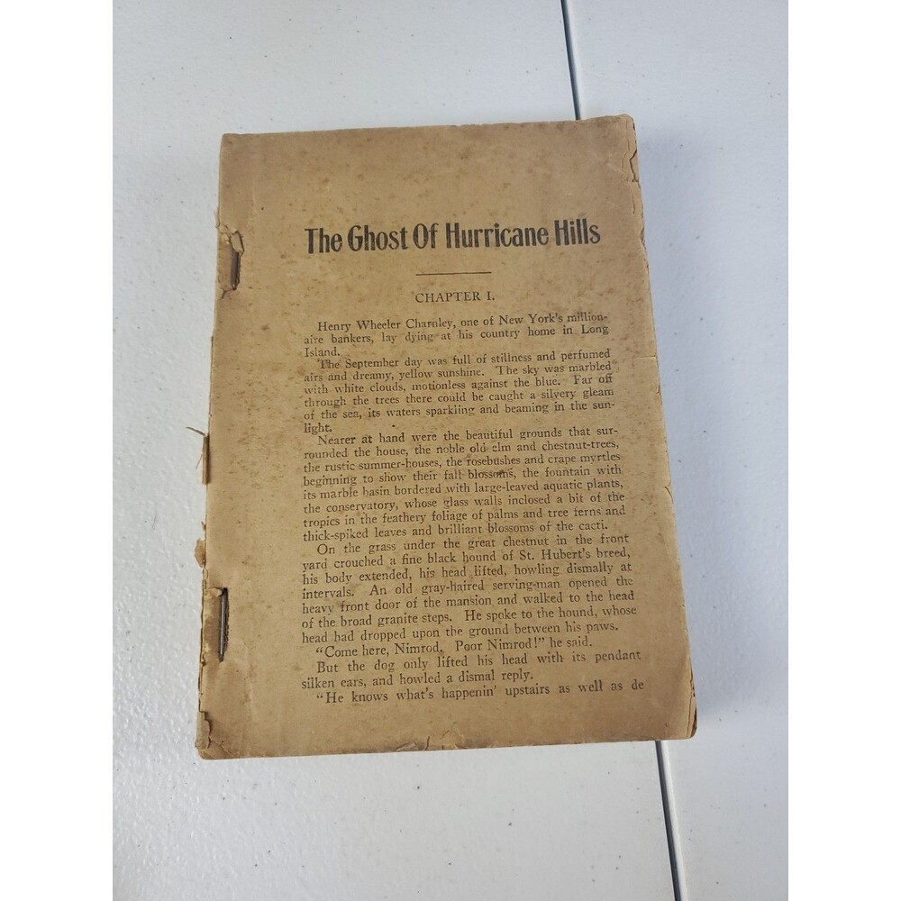 The Ghost of Hurricane Hills Mary Bryan Read